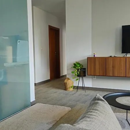 Braun Centrum & 24h Self Check-in With Private Parking Appartamento